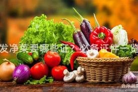 批发净菜要哪些证？必备证件一览！