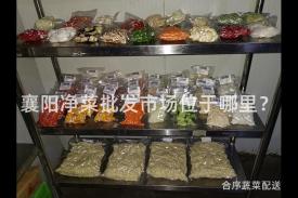 襄阳净菜批发市场位于哪里？