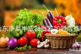 山东净菜半成品批发加盟店推荐