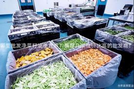 哪里批发净菜籽油便宜点？推荐几家性价比高的批发商！