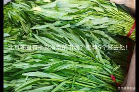 北京哪里有批发净菜的市场？推荐5个好去处！