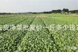 去皮净菜批发价一斤多少钱？