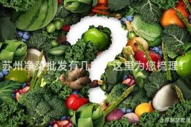 苏州净菜批发有几家？这里为您梳理！