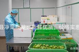 和县净菜批发：新鲜优质，价格实惠！