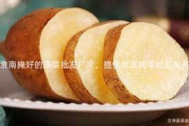 淮南腌好的净菜批发厂家，提供优质腌菜批发服务