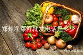 郑州净菜籽批发电话是多少？