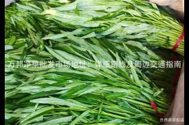 万邦净菜批发市场地址：详细路线及周边交通指南