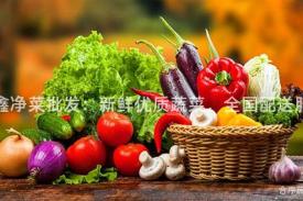 晶鑫净菜批发：新鲜优质蔬菜，全国配送服务
