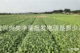 宜兴肉类净菜批发电话是多少？
