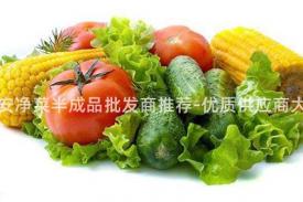 西安净菜半成品批发商推荐-优质供应商大全
