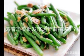 寿春净菜批发市场位置在哪里？