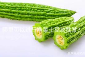 哪里可以进行净菜土豆块批发？