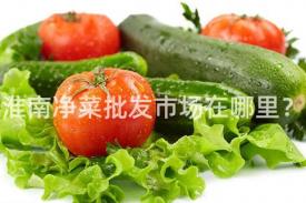 淮南净菜批发市场在哪里？