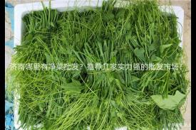 济南哪里有净菜批发？推荐几家实力强的批发市场！