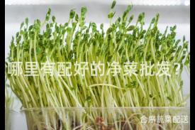 哪里有配好的净菜批发？