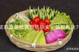 成都净菜批发市场缺失，如何解决？