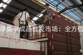 上海净菜半成品批发市场：全方位解读