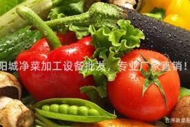 阳城净菜加工设备批发，专业厂家直销！