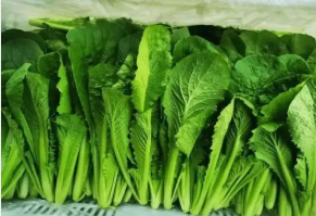 医院、养老院食堂如何选供应商？合序的食安管控有这“三道锁”